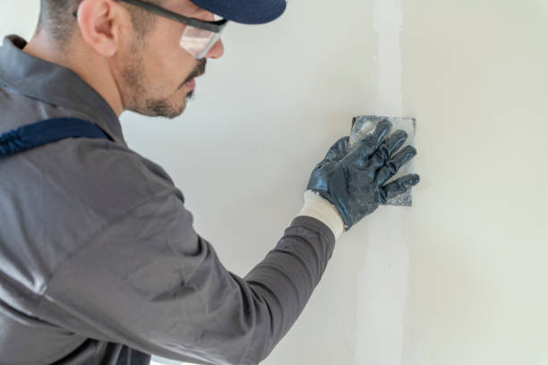 Best Drywall Installation  in Lifornia City, CA