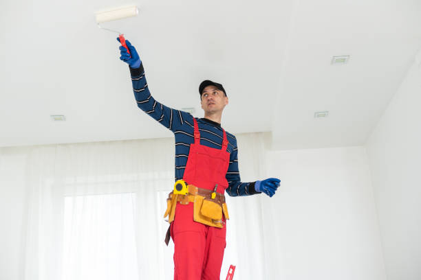 Best Drywall Removal and Disposal  in Lifornia City, CA